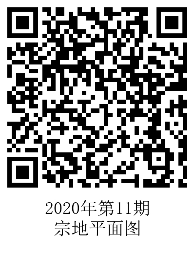 2020第11期宗地平面图.png